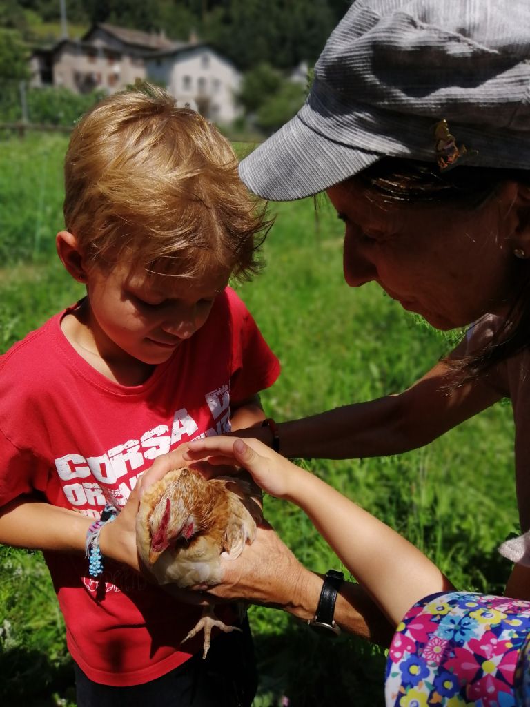 si possono tenere.jpg Res 2278 D9aac69b52cfc4feb9bd6c1485f2632b