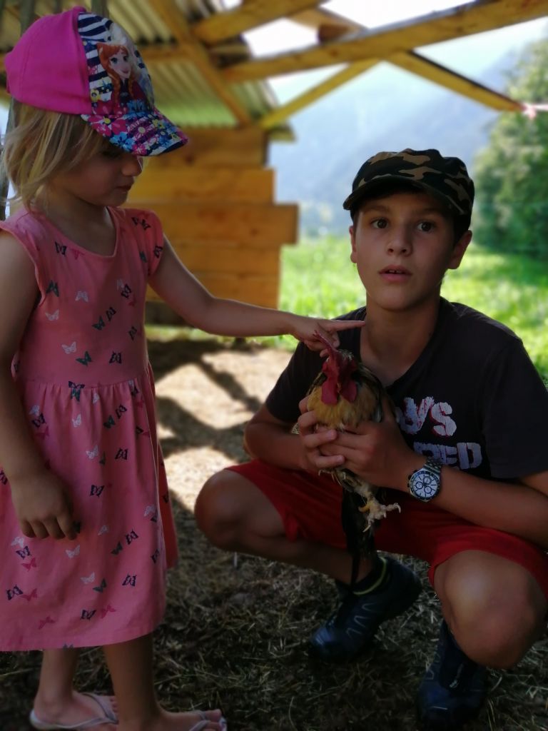 un gallo nano.jpg Res 2278 Fc64b4af3a93cf781f79286eec6a937a