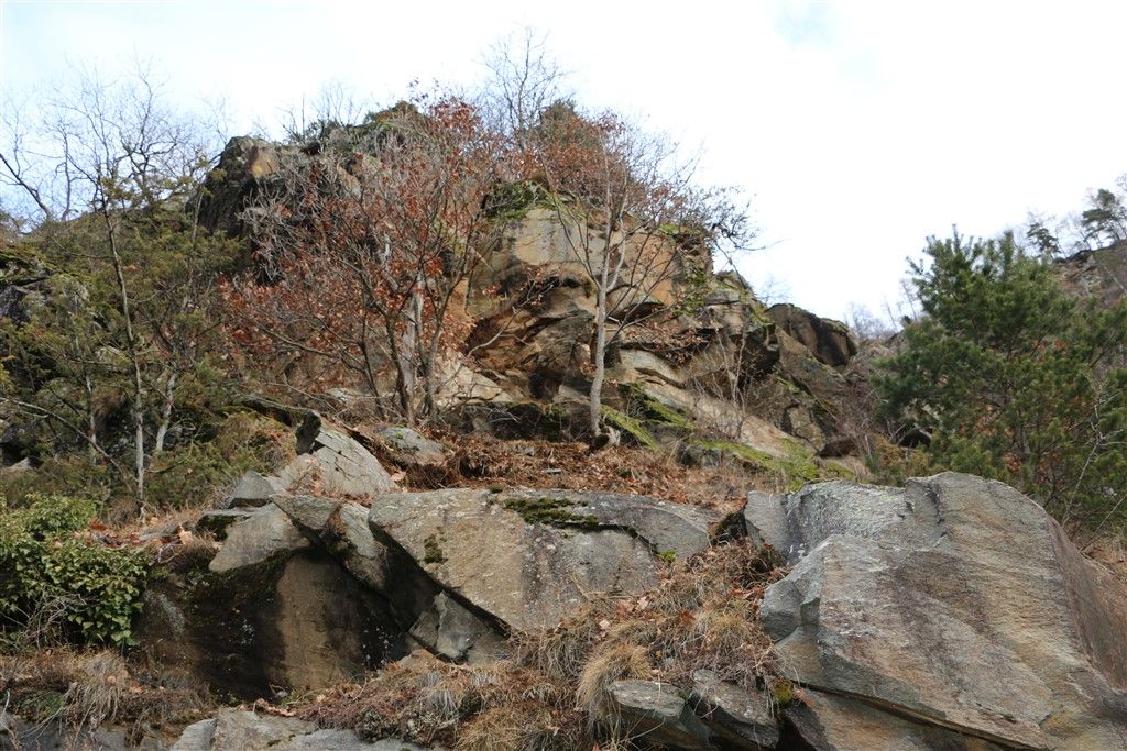 IMG_2331.jpg Res 248 0513a1e7c05b54dab50b6dece30b7862