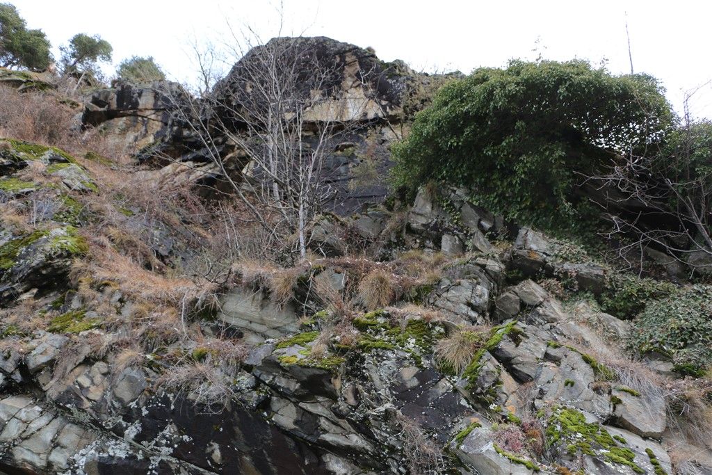 IMG_2335.jpg Res 248 534ed29521e2b500cfaef43e2bf3c061