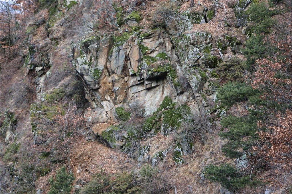 IMG_2327.jpg Res 248 6fa6dd44d7137995ec25863740ef136e