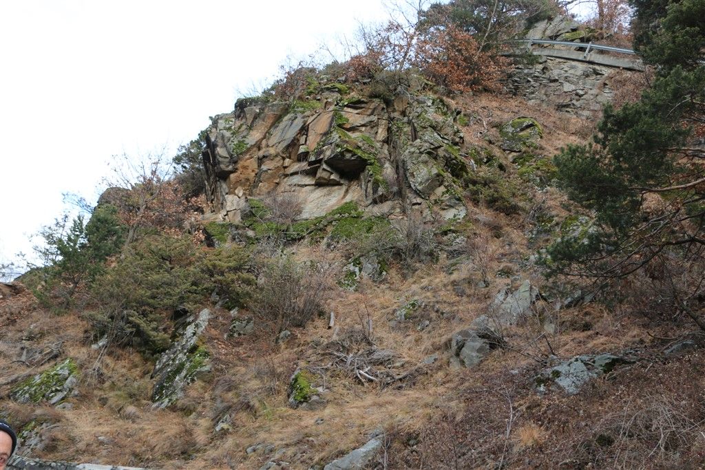 IMG_2328.jpg Res 248 B18c5600fefa738ada65ceb54182704e