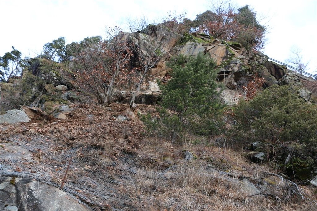 IMG_2330.jpg Res 248 C3367d81cdc4ea47904035a2bc51098d