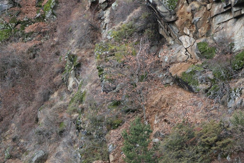 IMG_2326.jpg Res 248 Cbfca4b20ae99ccf0b3d439b58de943c