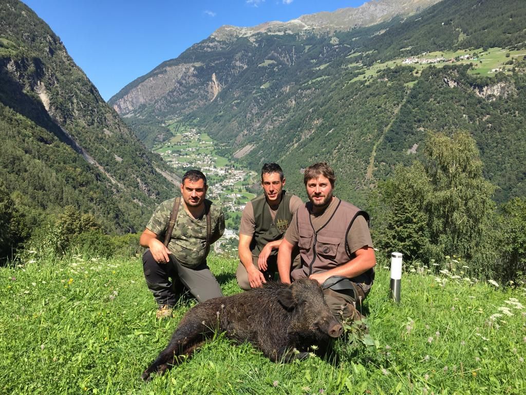 Cinghiale-Fabrizio-ISeppi.jpg Res 3514 B8a44017535026c27b7281fbe1eec63e