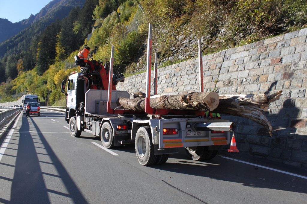 Pioppo-lago-caduto.jpg Res 3618 34ea508b1d14f88bc894bf88cde244df