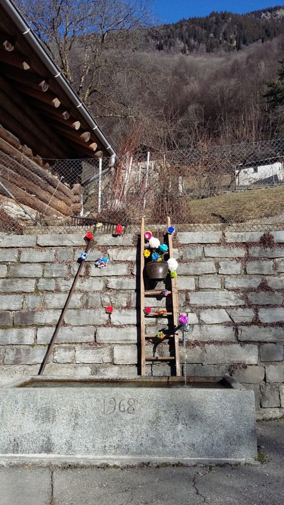 caccior.jpg Res 3992 B9ea5a6016f23170f7e415882c8d5e3c