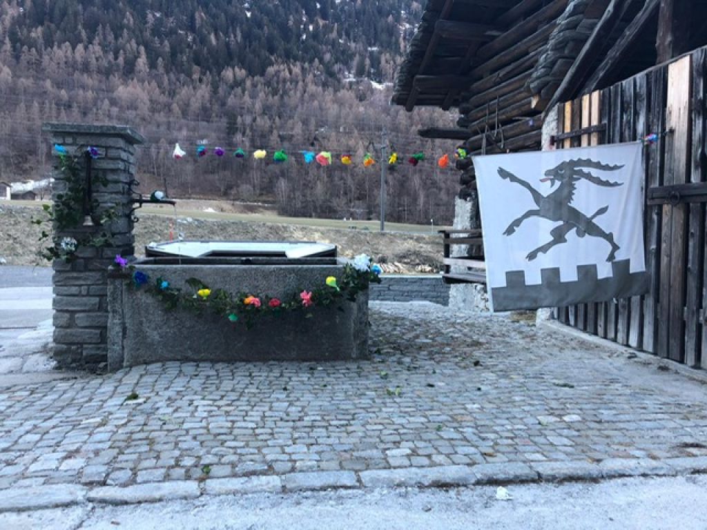 spino.jpg Res 3992 Cc950d27db5cfb7490e4dc81b03eb518