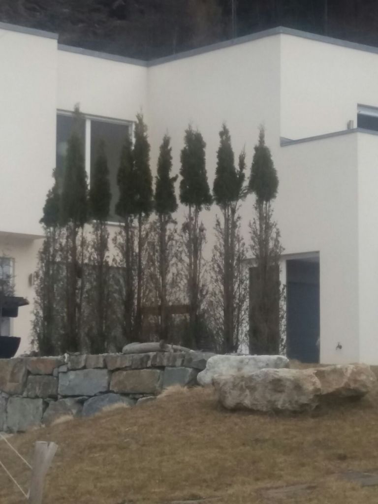 IMG-20180222-WA0021.jpg Res 400 2415261468c45c3339baf676f2a58aeb