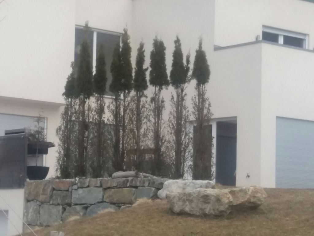 IMG-20180222-WA0020.jpg Res 400 335854757436bc62fe03a0bdd6130a1d