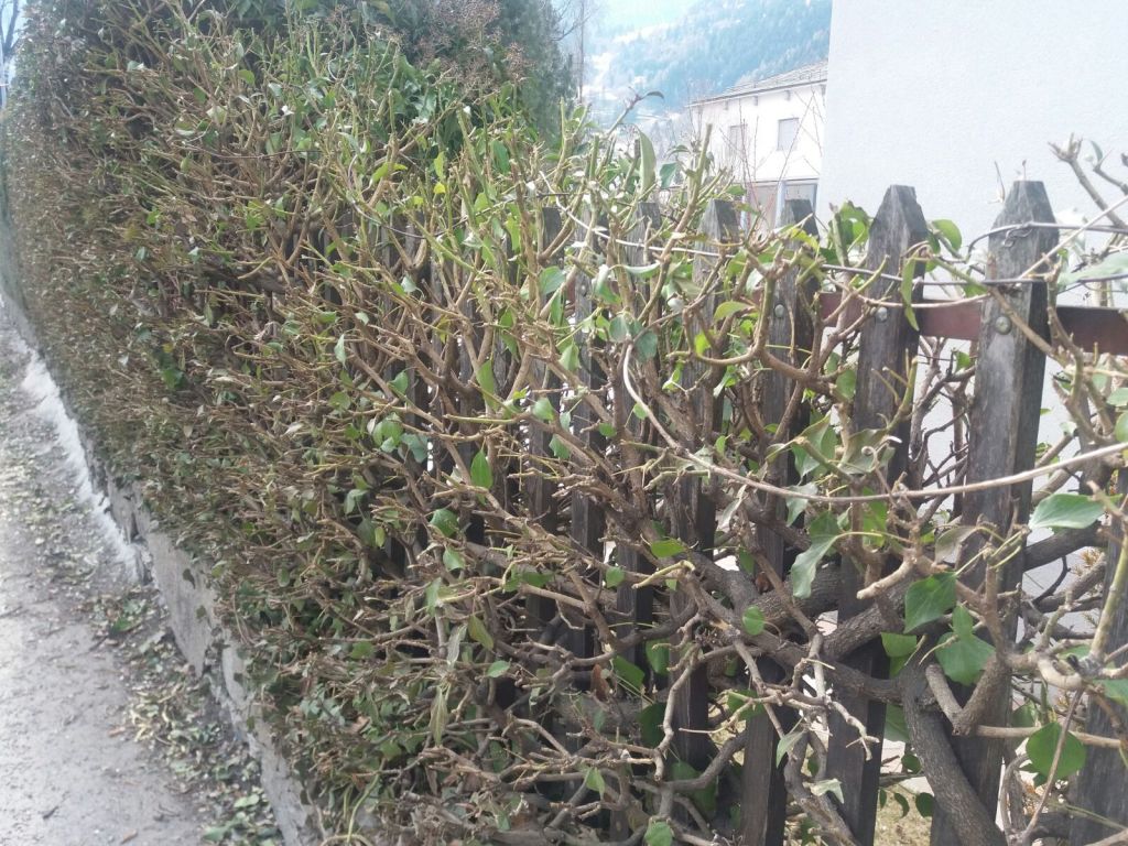 IMG-20180222-WA0023.jpg Res 400 760325ebc1bb3690871618ed23327999