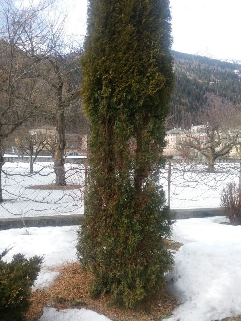 IMG-20180222-WA0022.jpg Res 400 C3d7eb9f4c8d08e7d750c50b4522b287