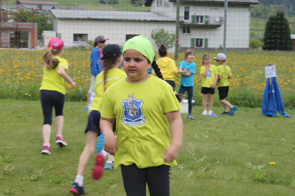 IMG_5647.jpg Res 4206 5de4948eda745fd0a6a1b0d28e999d8c