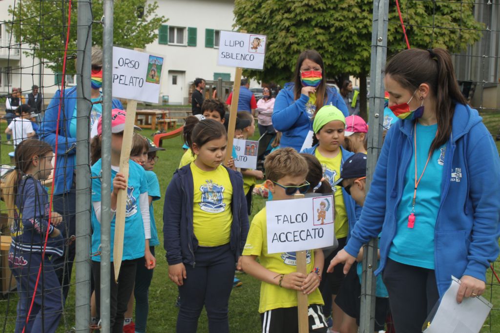 IMG_5623.jpg Res 4206 E23aa4ba8c9a65f2d305fcc79793afea