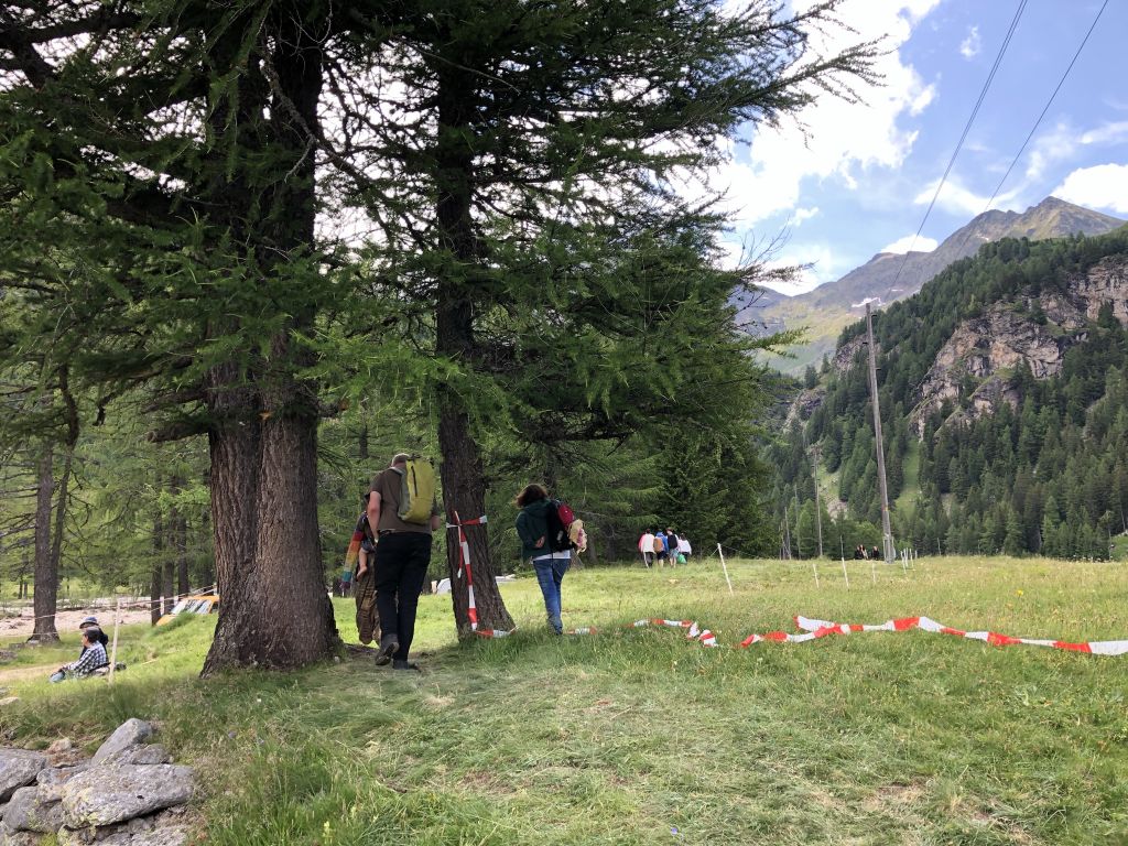 56059866-F953-442F-968D-8567344B65E4.jpeg Res 4314 963c487fc878cd547c34490106de210a