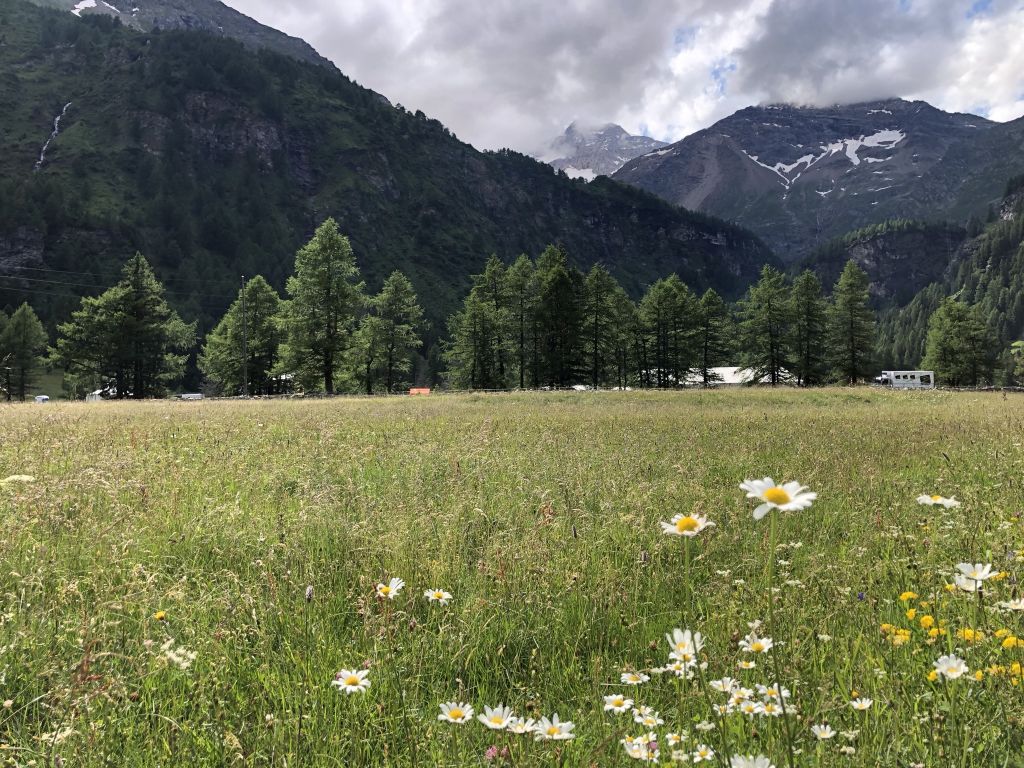 896C2CE1-4180-4B4B-9036-52500D230F49.jpeg Res 4314 9939c7e1b0b55c05a6bf96665d8aeb23