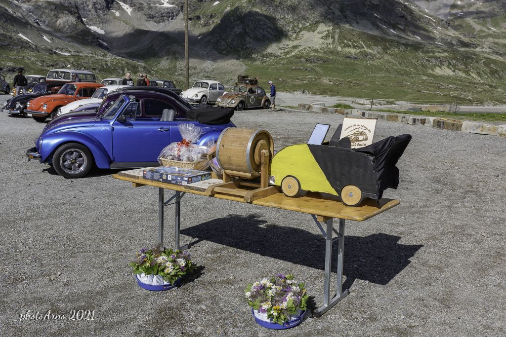 Käfer Ospizio-121.jpg Res 4323 050acaa372aacfc5c234fad02dec96f2