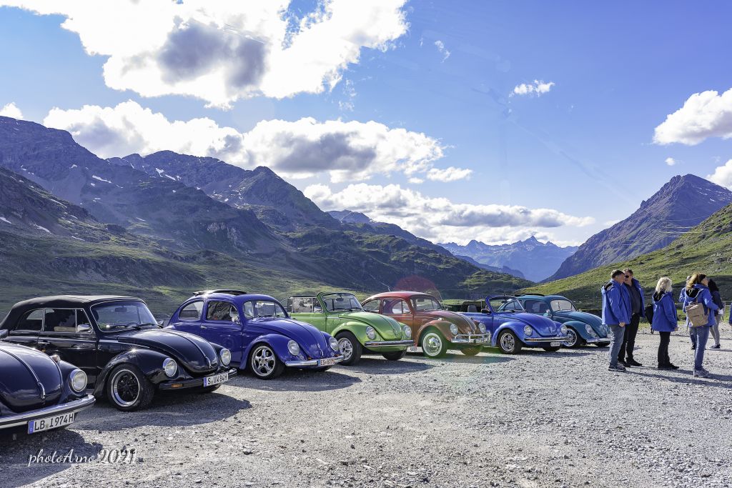 Käfer Ospizio-17.jpg Res 4323 0682f3057399bd7839c1958ae8c459bf