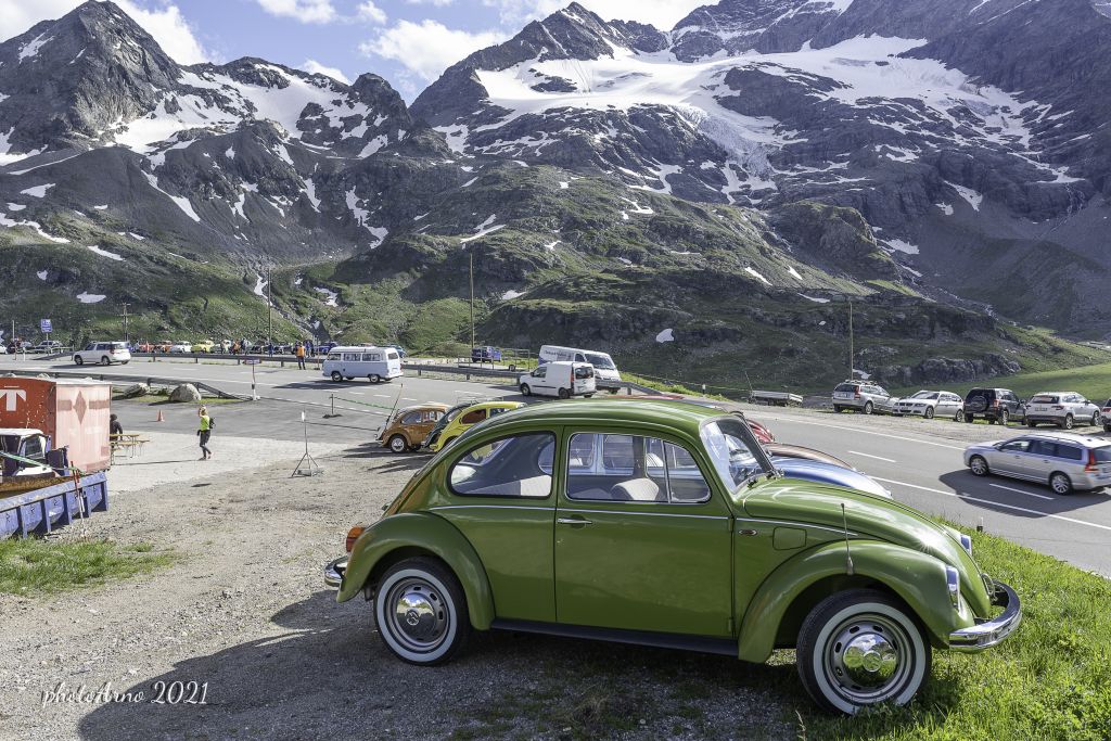 Käfer Ospizio-28.jpg Res 4323 08790d859f93ba76adb87039cda97a31