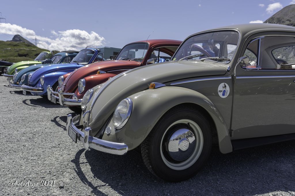 Käfer Ospizio-86.jpg Res 4323 0e01a837fb815205784058aa7003338e