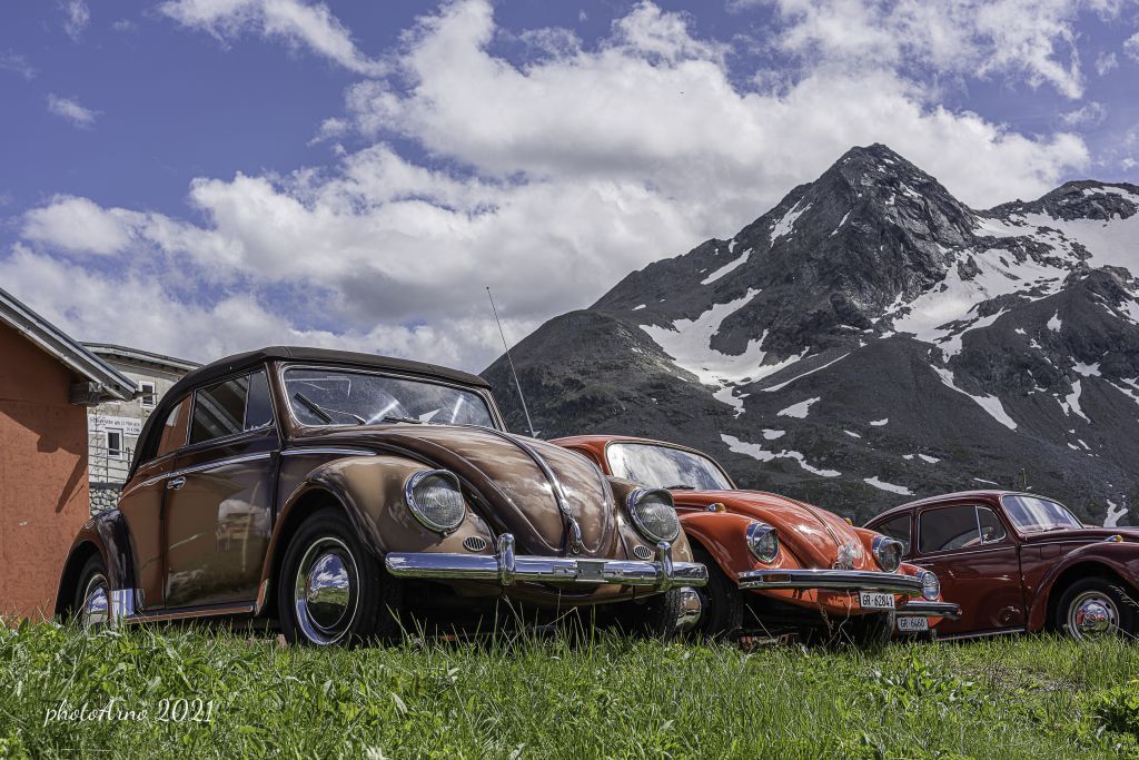 Käfer Ospizio-7.jpg Res 4323 180a7d87383f48c45454f5b67c4c69c1