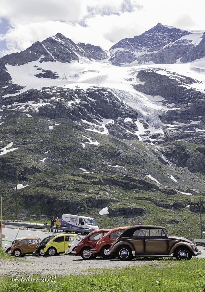 Käfer Ospizio-5.jpg Res 4323 2b8acd08a2db11bb1977e1f5a8d56af4