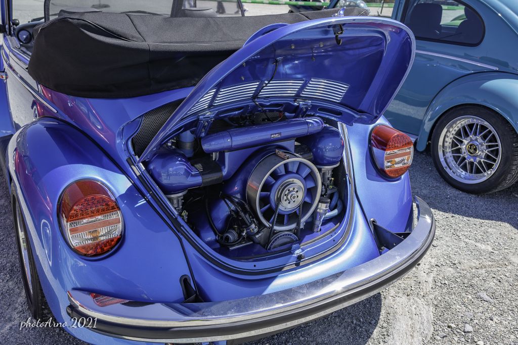 Käfer Ospizio-89.jpg Res 4323 2fc63a13ab7b61fda6bb111584396c01