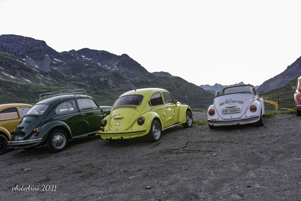 Käfer Ospizio-53.jpg Res 4323 30d526566e3a1259ae3c808bbef3bfd1