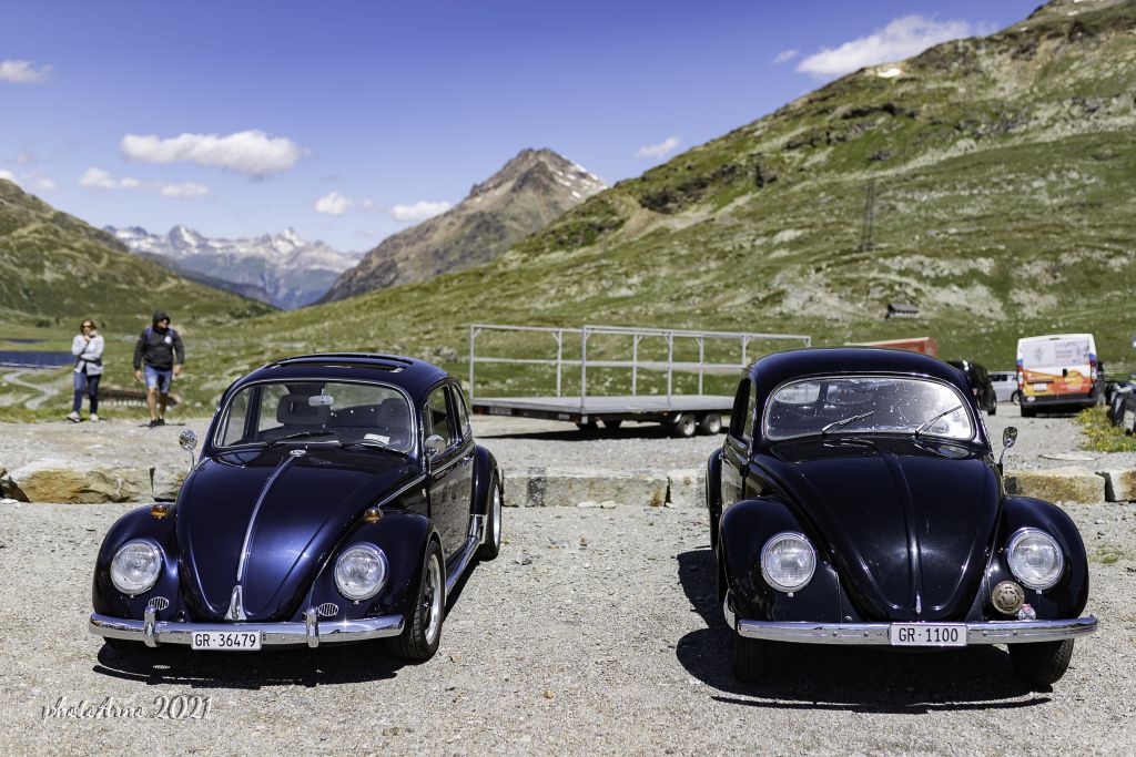 Käfer Ospizio-92.jpg Res 4323 39500696f215cdeb9b9fc5d66e12eef1