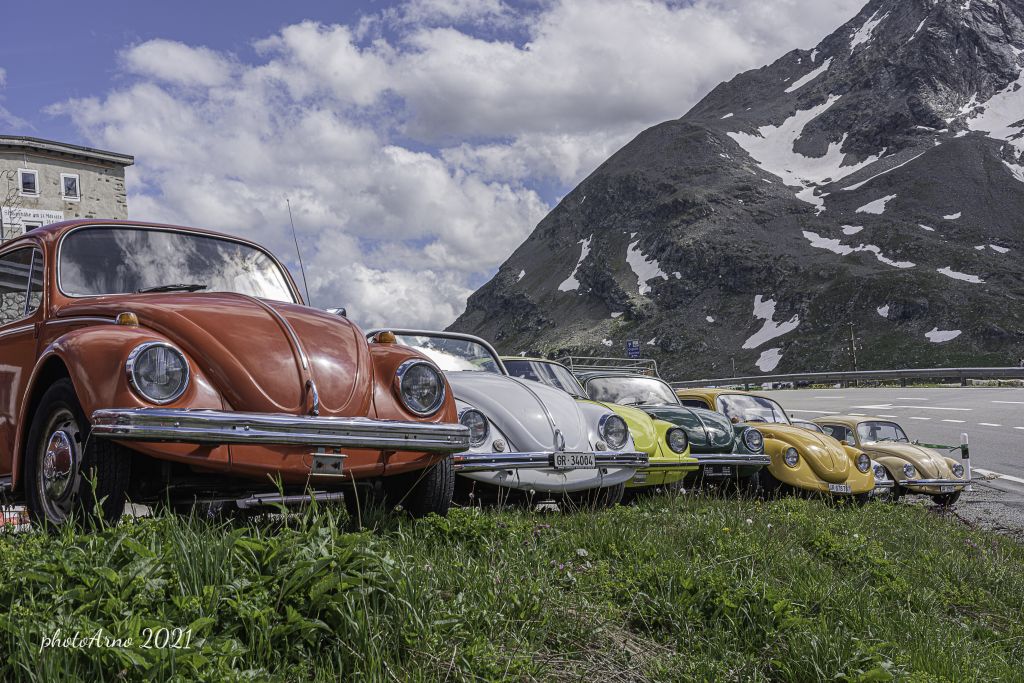 Käfer Ospizio-9.jpg Res 4323 3b4e8c678dad8425bc481c28edc512fd