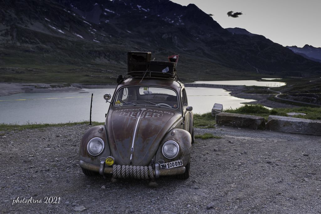 Käfer Ospizio-64.jpg Res 4323 3b870801d48b5445cbefb4557bf3bae8