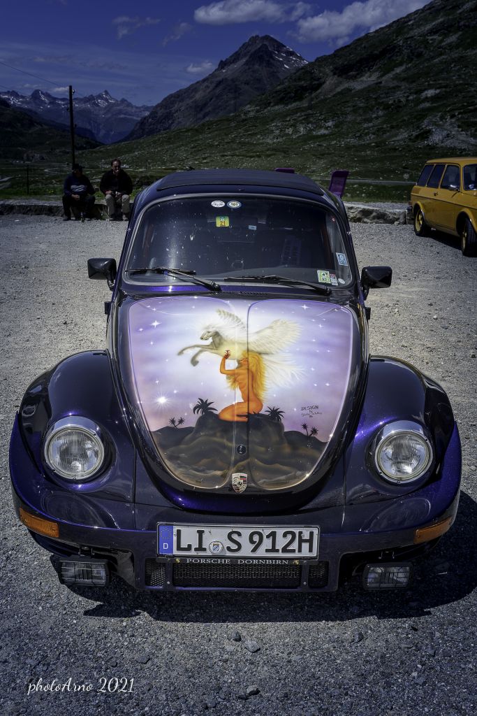 Käfer Ospizio-107.jpg Res 4323 41f4677f2a7427105d717849b8627e54