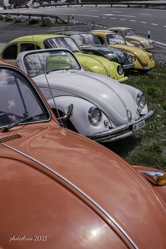 Käfer Ospizio-10.jpg Res 4323 4fdaf3c3e7957dd4423ef531848d607d