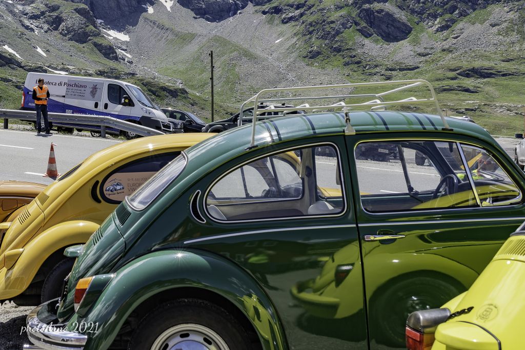 Käfer Ospizio-117.jpg Res 4323 5993c9d8b68c946ff628d9240df9a876