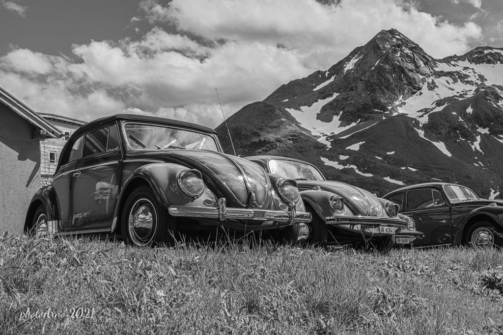 Käfer Ospizio-8.jpg Res 4323 603abfdb9eee4e372b88124c721bc623