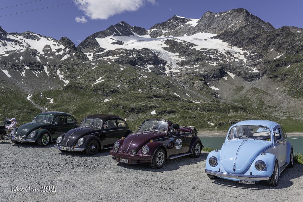 Käfer Ospizio-85.jpg Res 4323 6a792e2d50daecf975f8dc7ef12fe698