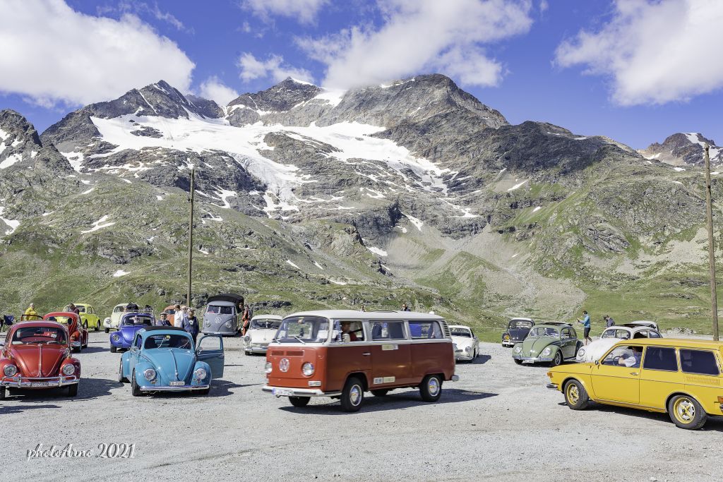 Käfer Ospizio-157.jpg Res 4323 6f2e7bf8644ee30796823aeeffb94226