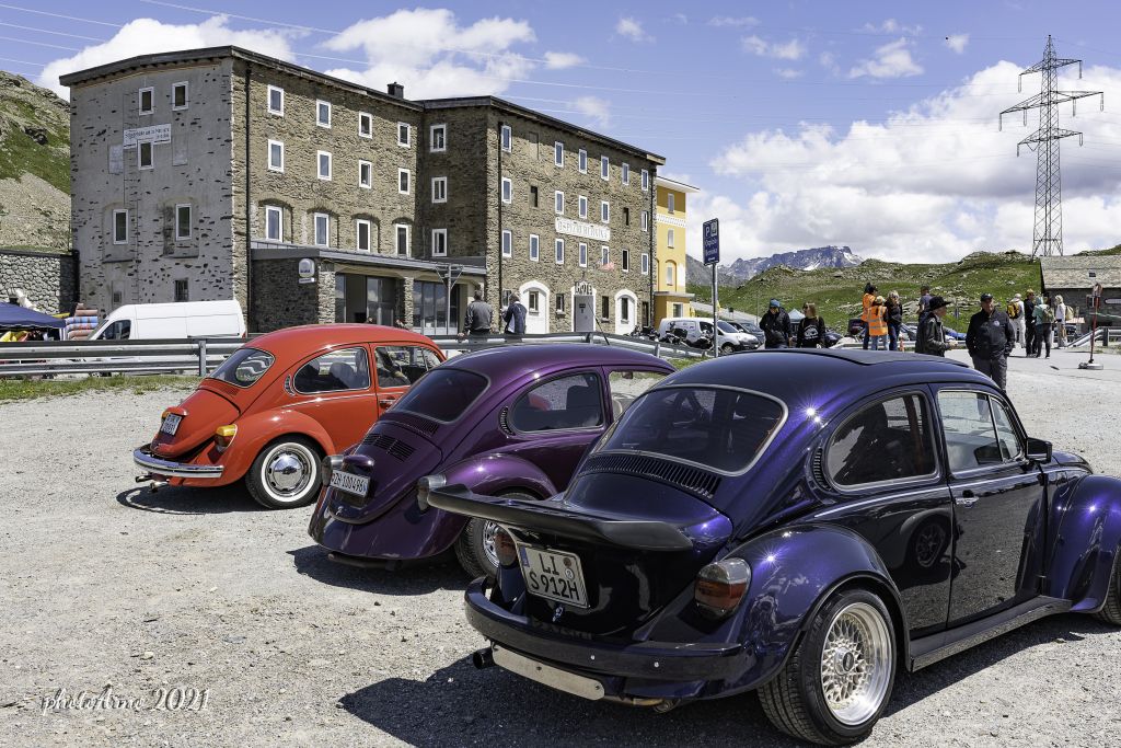 Käfer Ospizio-97.jpg Res 4323 74c0711da617590f5c907b41ea75e8bd