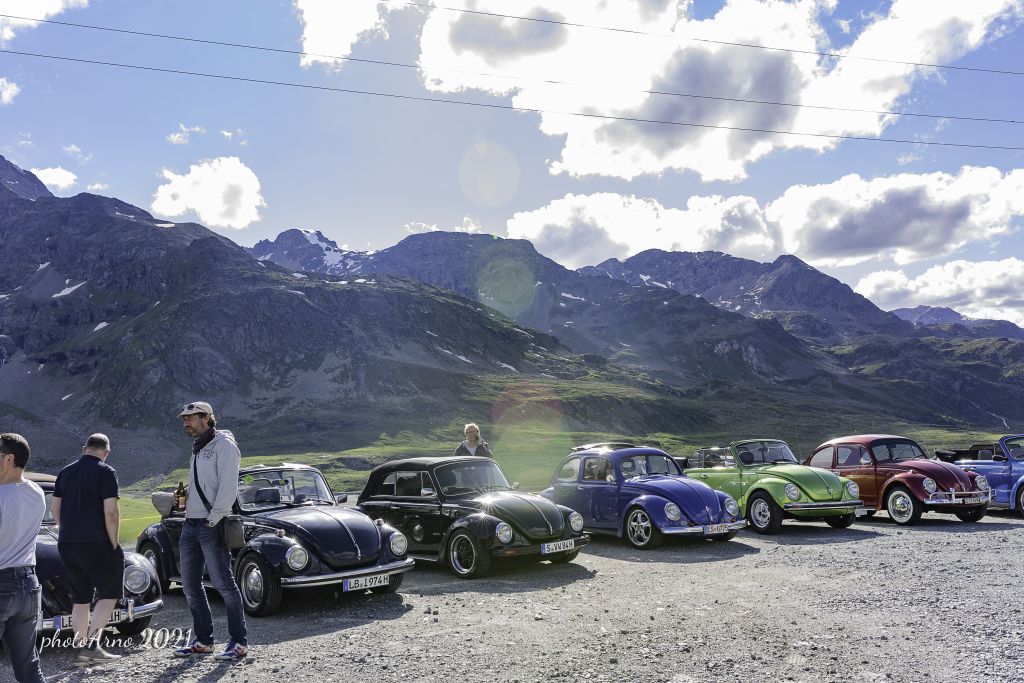 Käfer Ospizio-20.jpg Res 4323 7cc78388c86d0801d8e19236555544fa