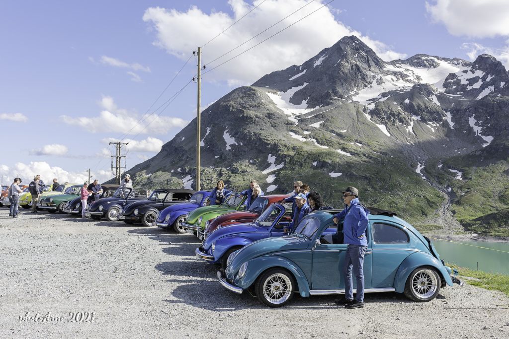 Käfer Ospizio-15.jpg Res 4323 7e49cdae96d545438e20778e14895efa