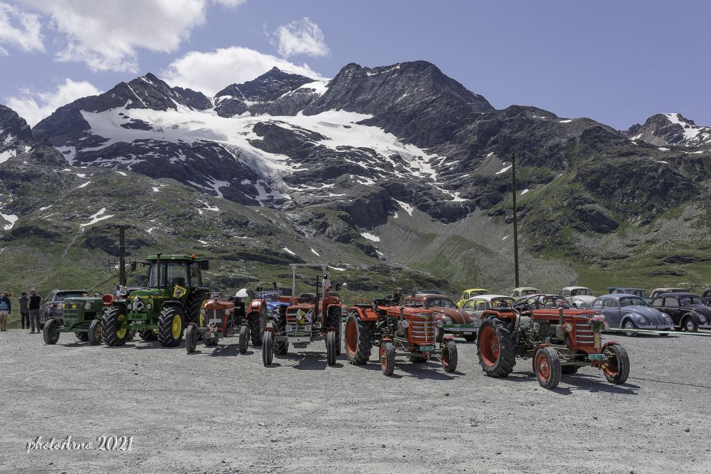 Käfer Ospizio-106.jpg Res 4323 8251e483bd02f86f853c97f804d01e26