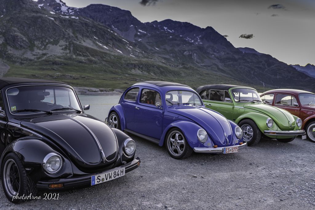 Käfer Ospizio-67.jpg Res 4323 85ff0a8e94a0e8098e1dbbb2b0c9db17