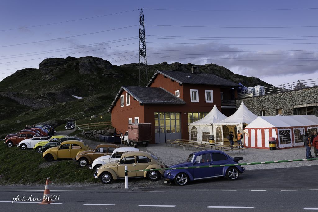 Käfer Ospizio-70.jpg Res 4323 8fa75278f0ebd66e4c20e781bc1bd082