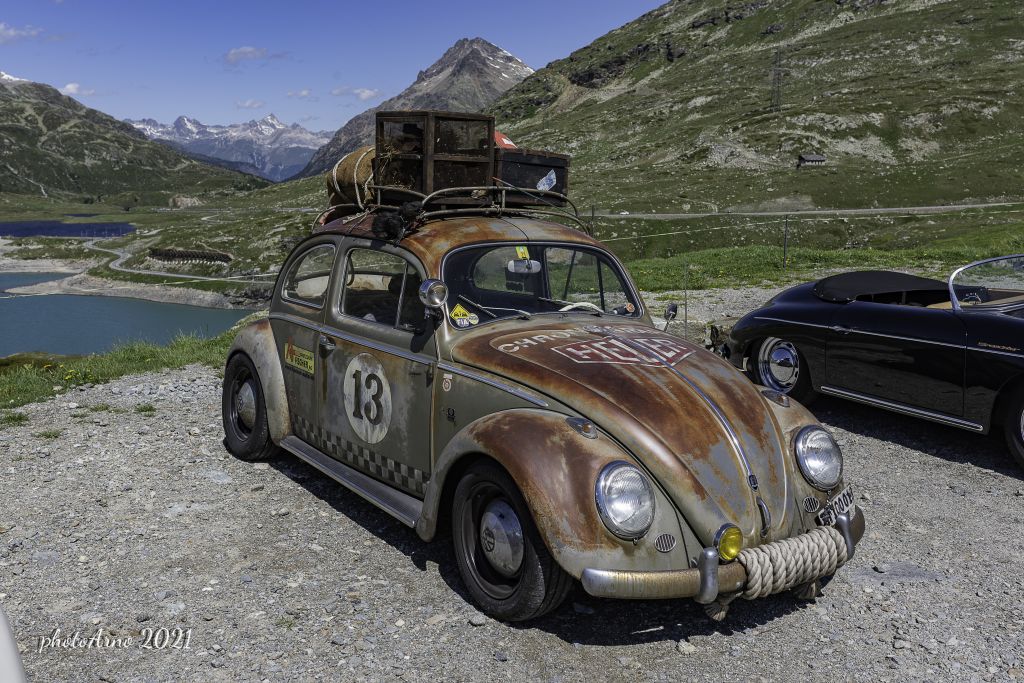 Käfer Ospizio-81.jpg Res 4323 943044400d47cb150c7b4037b3031705