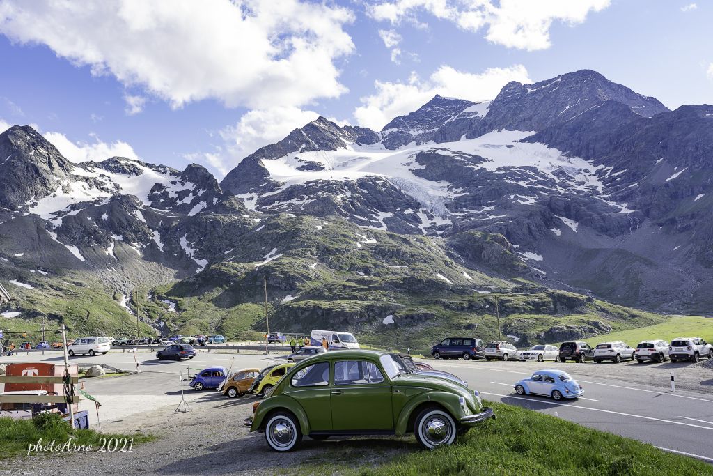 Käfer Ospizio-44.jpg Res 4323 94393796e6eedbb1ebf8df05f7646401