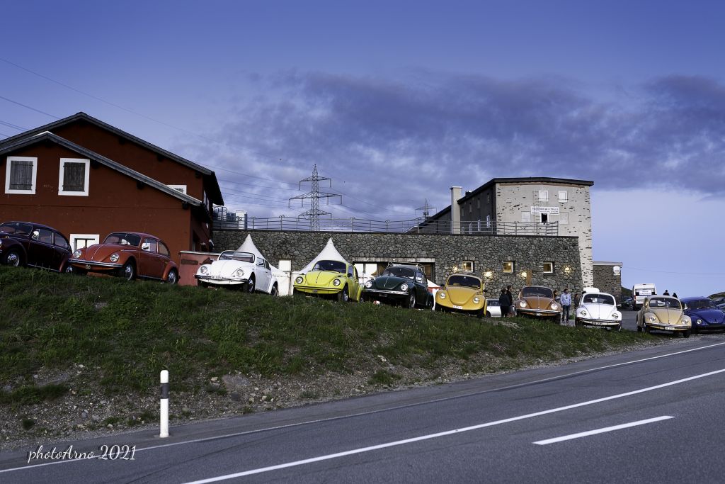 Käfer Ospizio-71.jpg Res 4323 9cbb86315623a979e89c2619516c3ab2