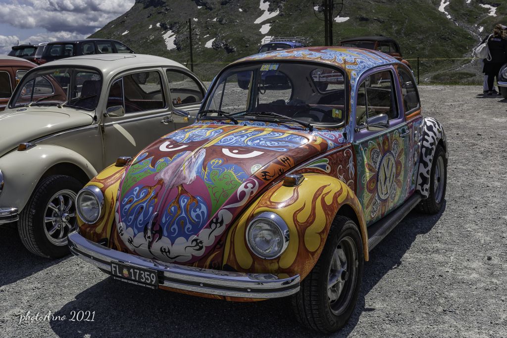 Käfer Ospizio-104.jpg Res 4323 9e3073845bdf21ce4300133d8adc26dc