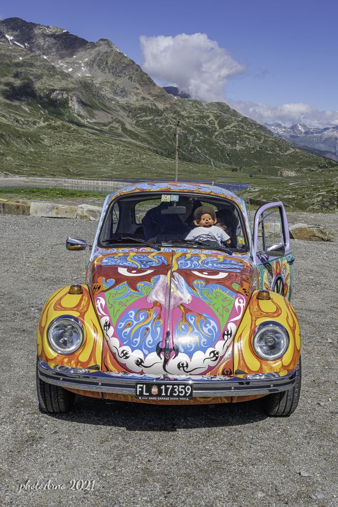 Käfer Ospizio-146.jpg Res 4323 9ff470b92f981c6d17c73c4c49cb2227