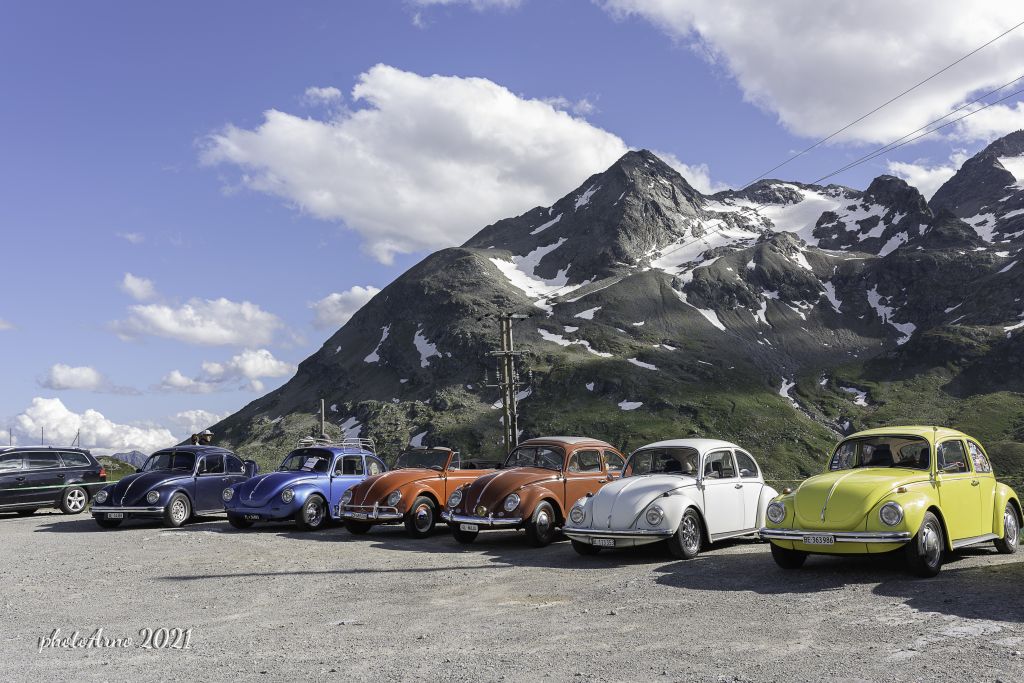 Käfer Ospizio-18.jpg Res 4323 A238a7a83dcee0e9e22745ba48853376