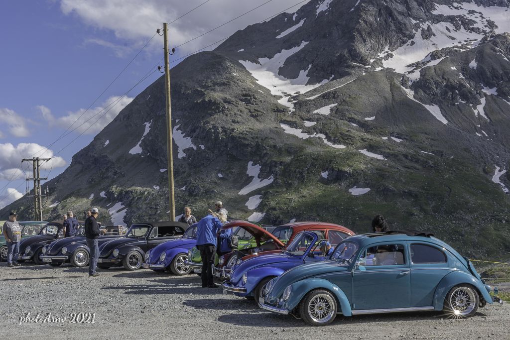 Käfer Ospizio-13.jpg Res 4323 A8a84b02ccdcdadc60bc073566566003